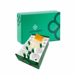 Kit Ventosaterapia 12 Copos